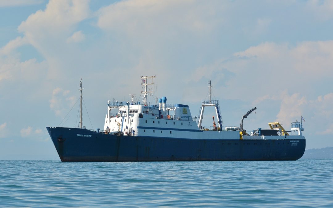 Ambasada SUA în România salută inițiativa DOORS Black Sea cu ocazia Zilei Internaționale a Mării Negre