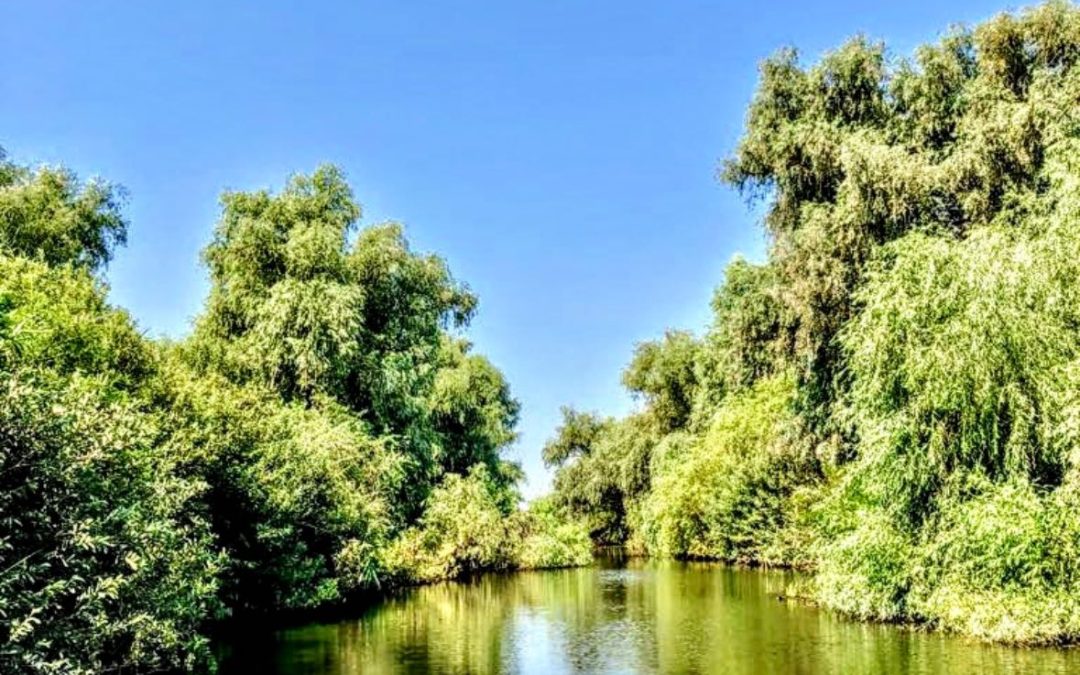 Autoritatea Națională pentru CErcetare – România: România coordonează, Europa cercetează