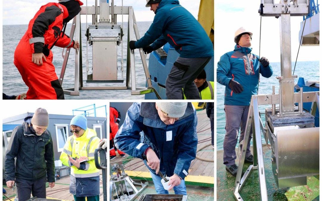 GeoEcoMar curăță deșeurile marine în cadrul Zilei Internaționale a Voluntarului